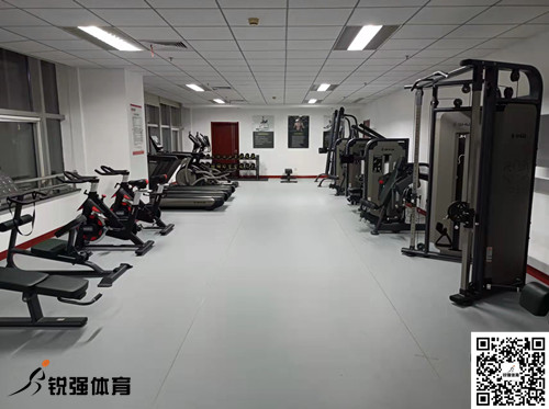 济南某集团采购的熊猫体育体育提供的健身器材