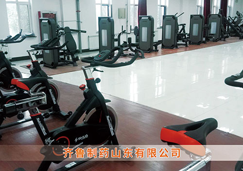 ​熊猫体育体育为齐鲁制药呼和浩特分公司打造健身房